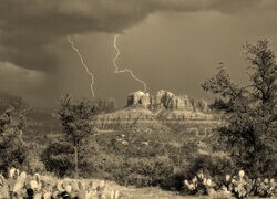 Szary + Sepia