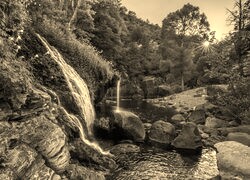 Sepia