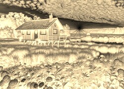 Sepia + Negatyw