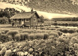 Szary + Sepia