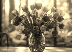 Szary + Sepia