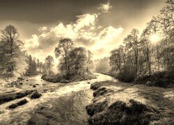 Szary + Sepia
