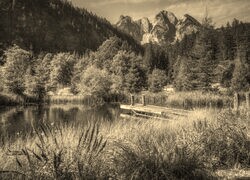 Szary + Sepia
