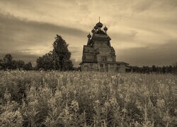 Szary + Sepia