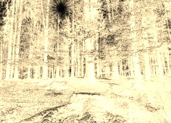Sepia + Negatyw
