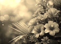 Szary + Sepia