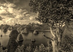 Szary + Sepia