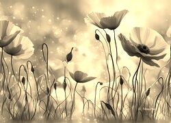Szary + Sepia
