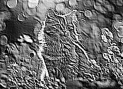 Skamielina