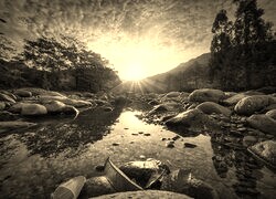 Sepia