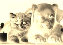 Sepia + Negatyw