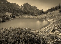 Szary + Sepia