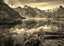 Sepia