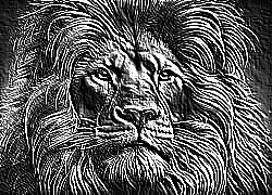 Skamielina
