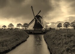 Szary + Sepia