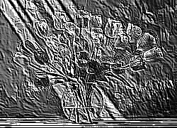 Skamielina