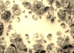 Szary + Sepia
