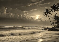 Sepia