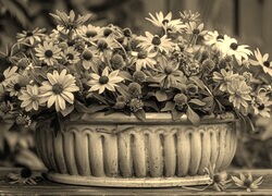 Szary + Sepia