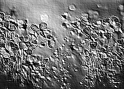 Skamielina