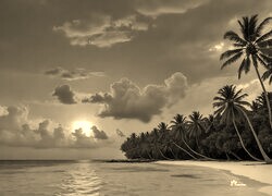 Sepia