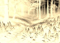 Sepia + Negatyw