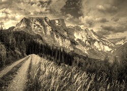 Szary + Sepia