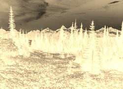 Sepia + Negatyw