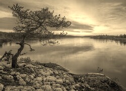 Szary + Sepia