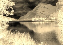 Sepia + Negatyw