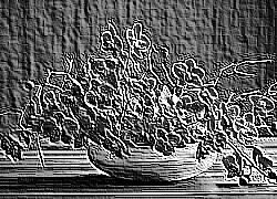 Skamielina