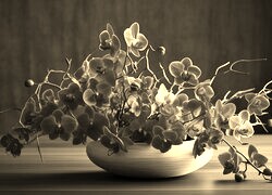 Szary + Sepia