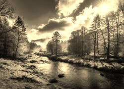 Szary + Sepia