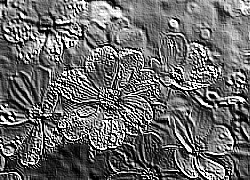 Skamielina