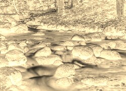 Sepia + Negatyw