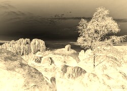 Sepia + Negatyw