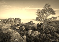Szary + Sepia