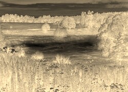 Sepia + Negatyw
