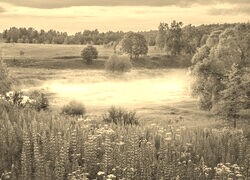 Sepia