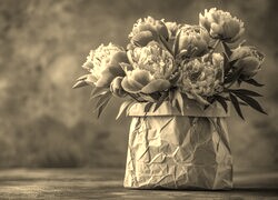 Szary + Sepia