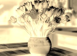 Sepia + Negatyw