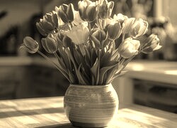 Sepia