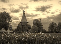 Szary + Sepia