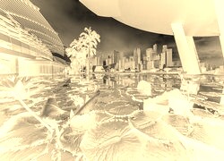 Sepia + Negatyw