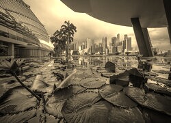 Szary + Sepia