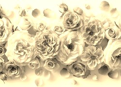 Szary + Sepia