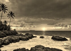 Sepia