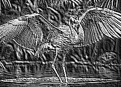 Skamielina