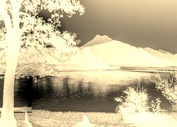 Sepia + Negatyw