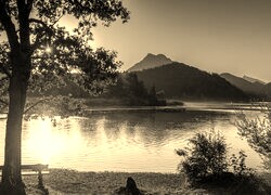 Szary + Sepia